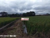 桃園市中壢區高鐵聖德路旁農地1839坪農地 桃園市中壢區高鐵聖德路旁農地1839坪農地