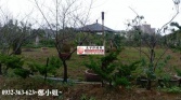 桃園市中壢區中央大學農地農舍農地 桃園市中壢區中央大學農地農舍農地