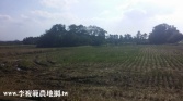 桃園市中壢區山東國小180坪農地農地 桃園市中壢區山東國小180坪農地農地