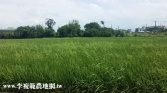桃園市中壢區山東路900坪農地農地 桃園市中壢區山東路900坪農地農地
