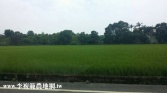 桃園市中壢區青埔月眉月桃路360坪農地農地 桃園市中壢區青埔月眉月桃路360坪農地農地