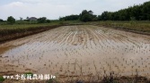桃園市中壢區青埔棒球場28坪甲建地建地 桃園市中壢區青埔棒球場28坪甲建地建地